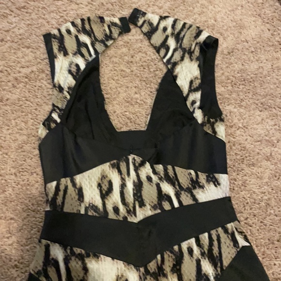 JustCavalli - Picture 2 of 3